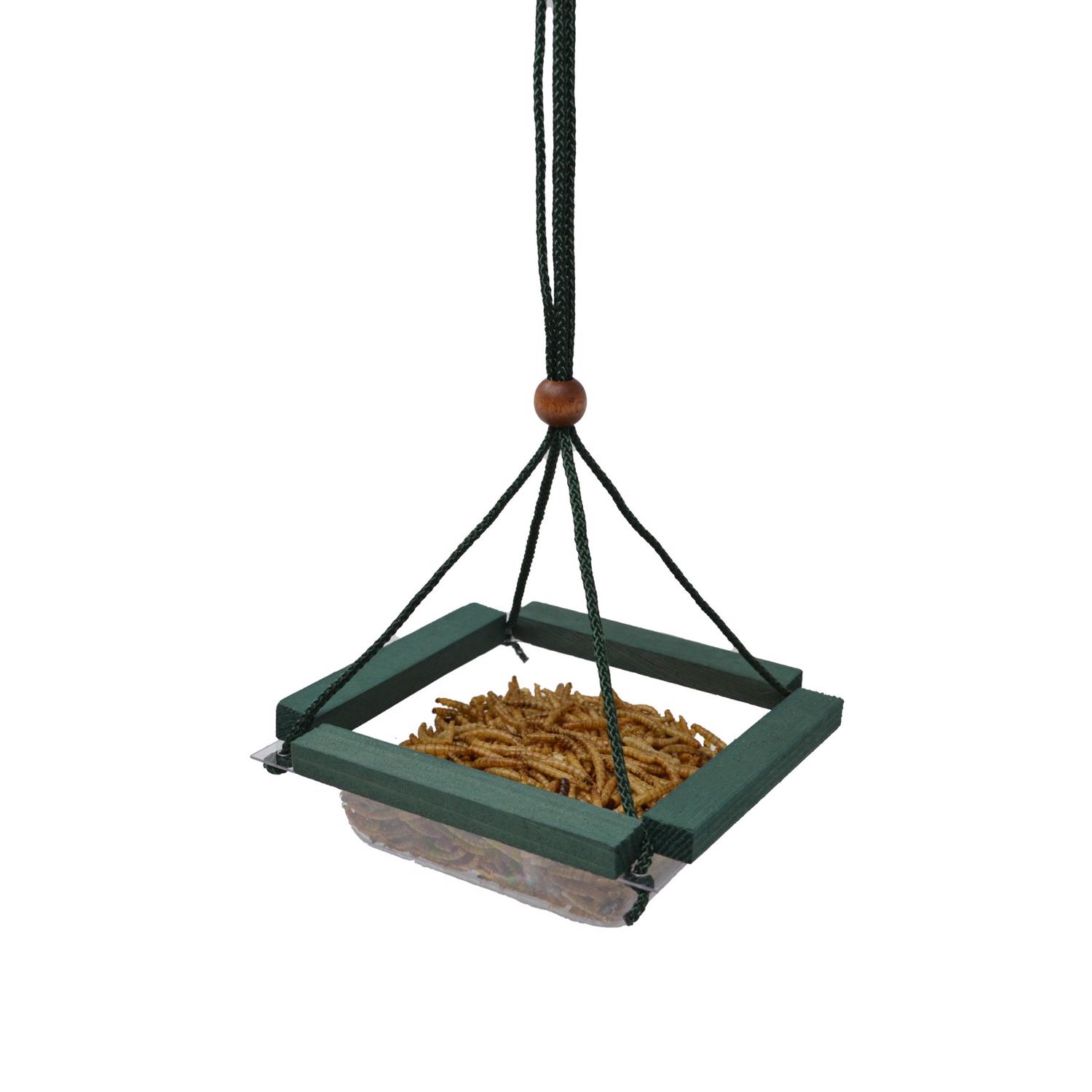 image-1