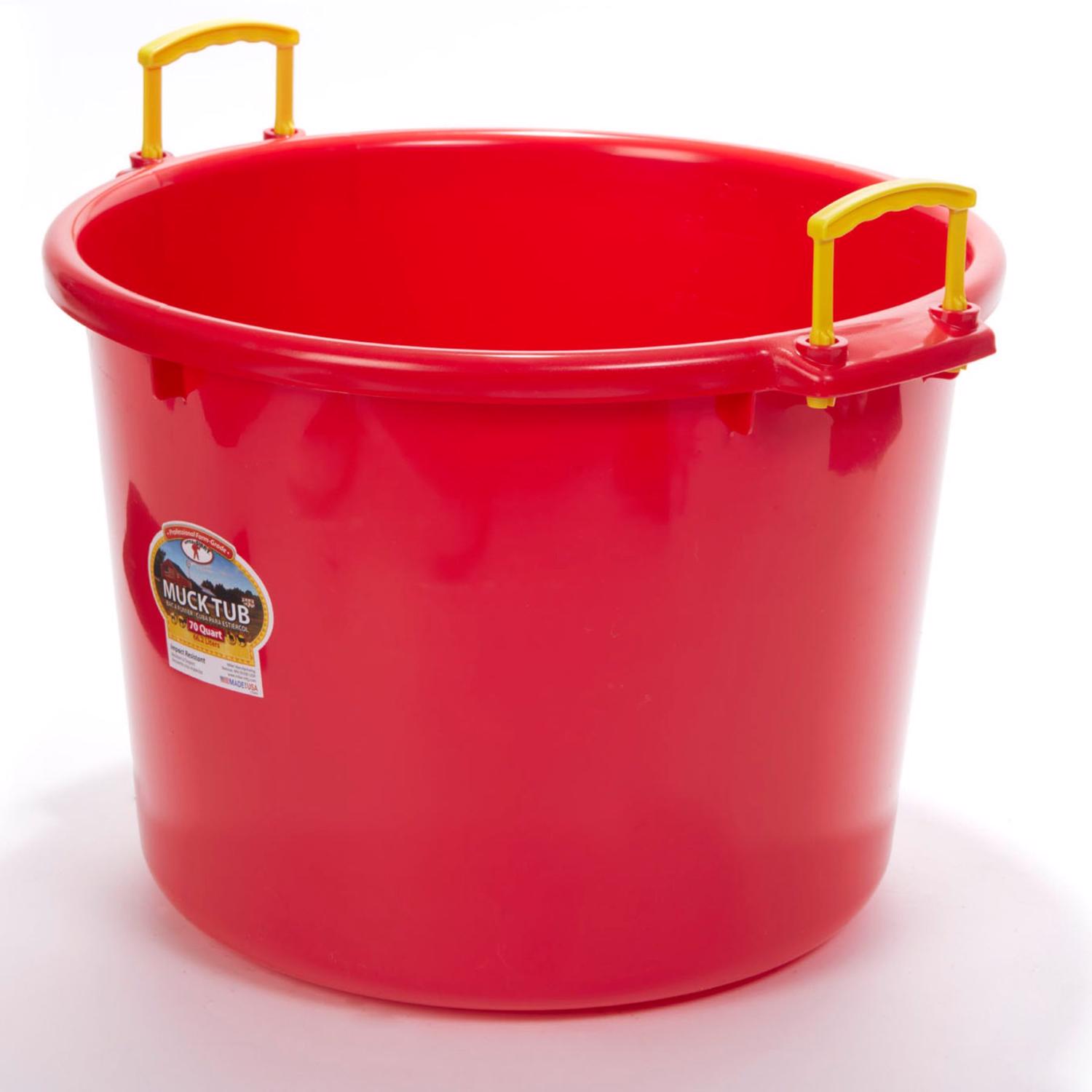 image-4