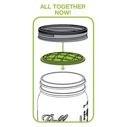 Jarware 0.25 in. H X 3.25 in. L Green Plastic Mason Jar Flower Grid