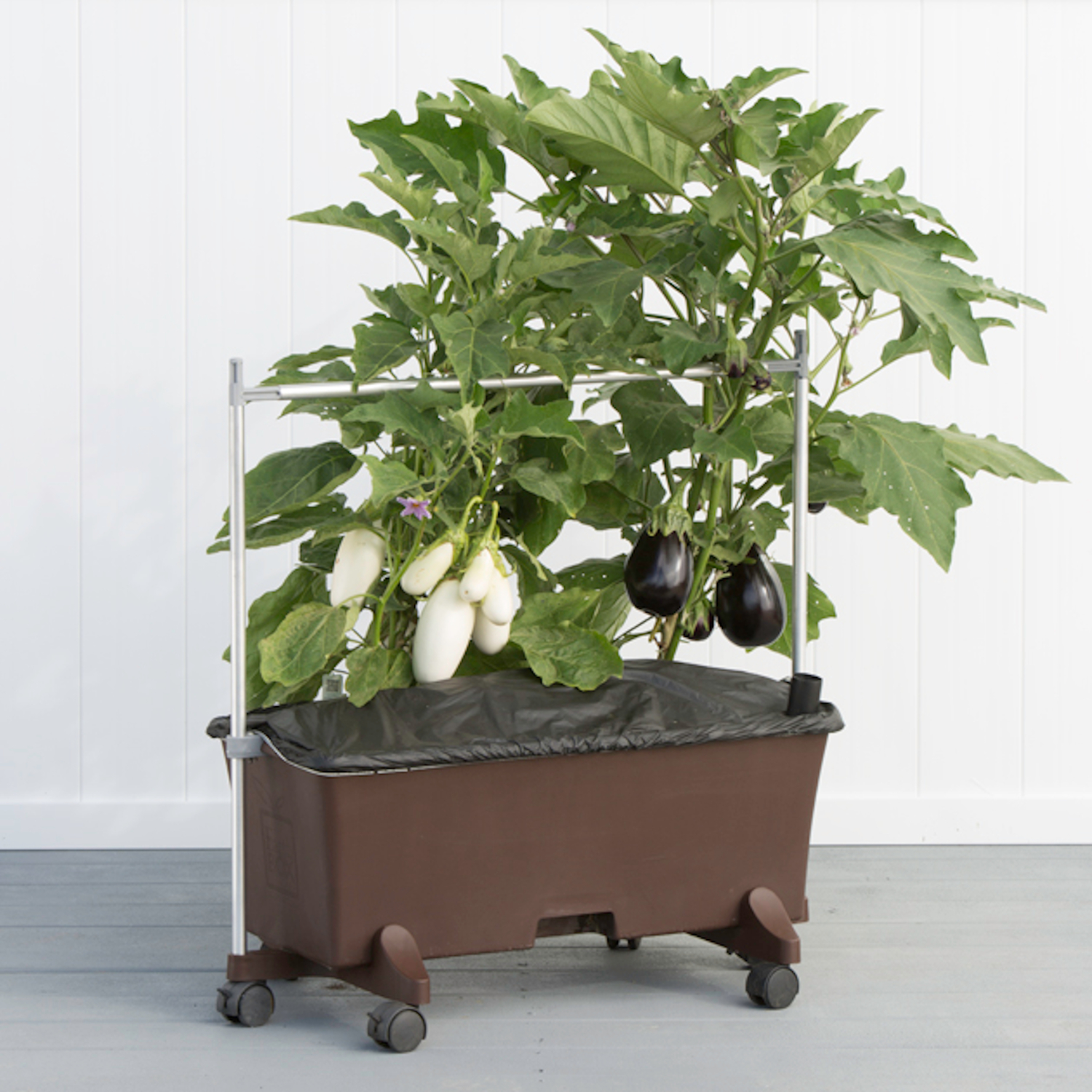 image-3