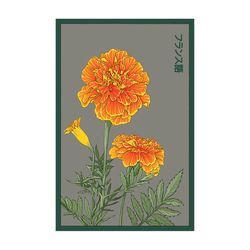 Chive Shido Seed Co. Marigold Seeds 1 pk