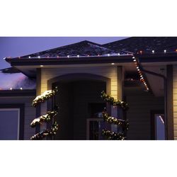 Holiday Bright Lights LED PS C9 Pure White 25 ct Christmas Light Bulbs
