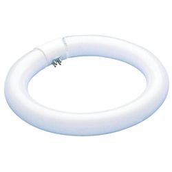 Westinghouse 22 W T9 8 in. L Fluorescent Bulb Cool White Tubular 4100 K 1 pk