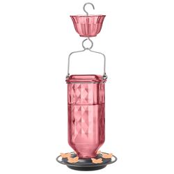 Nature's Way Hummingbird 23 oz Glass/Metal/Plastic Bird Feeder with Ant Moat 6 ports