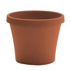 Bloem Terra 8.25 in. H X 7.5 in. W X 10.75 in. D Resin Traditional Planter Terra Cotta