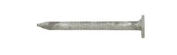 Ace 1-1/2 in. Joist Hanger Hot-Dipped Galvanized Steel Nail Flat Head 5 lb