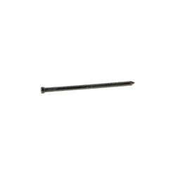 Grip-Rite 8D 2-1/2 in. Finishing Hot-Dipped Galvanized Steel Nail Brad Head 5 lb