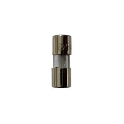 Celebrations Incandescent Clear 2 ct Replacement 5Amp Fuse