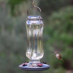 Perky-Pet Hummingbird 16 oz Glass/Metal Nectar Bird Feeder 4 ports