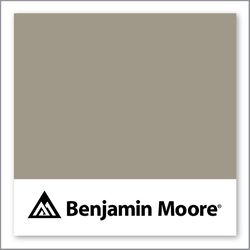 Benjamin Moore Briarwood HC-175