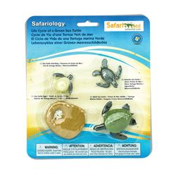 Safari Ltd. Safariology Turtle Life Cycle