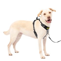 PetSafe Black Fabric Dog Harness Large