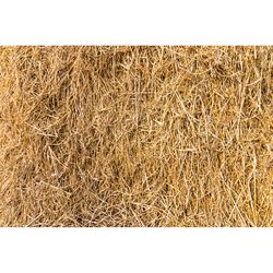 Retailer Sourced Straw Bale