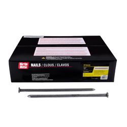 Grip-Rite 10 in. Spike Bright Steel Nail Flat Head 50 lb