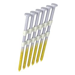 Grip-Rite 3 in. L X 11 Ga. Angled Strip Hot-Dip Galvanized Framing Nails 21 deg 4000 pk