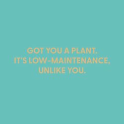 Chive Got You a Plant. It's Low-Maintenance. Unlike You. Blank Greeting Card