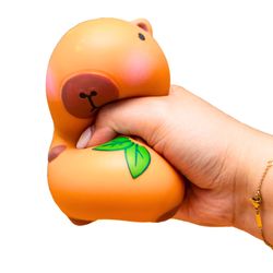 Boxer Gifts LLC Capybara Stress Toy