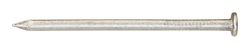 Ace 6D 2 in. Framing Bright Steel Nail Flat Head 1 lb