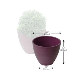 Algreen 9 in. H X 5.3 in. W X 10 in. D Plastic Curve Planter Purple