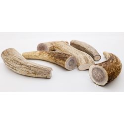 Pearson Ranch Jerky Grain Free Spread Antler For Dogs 0.13 oz 3 in. 1 pk