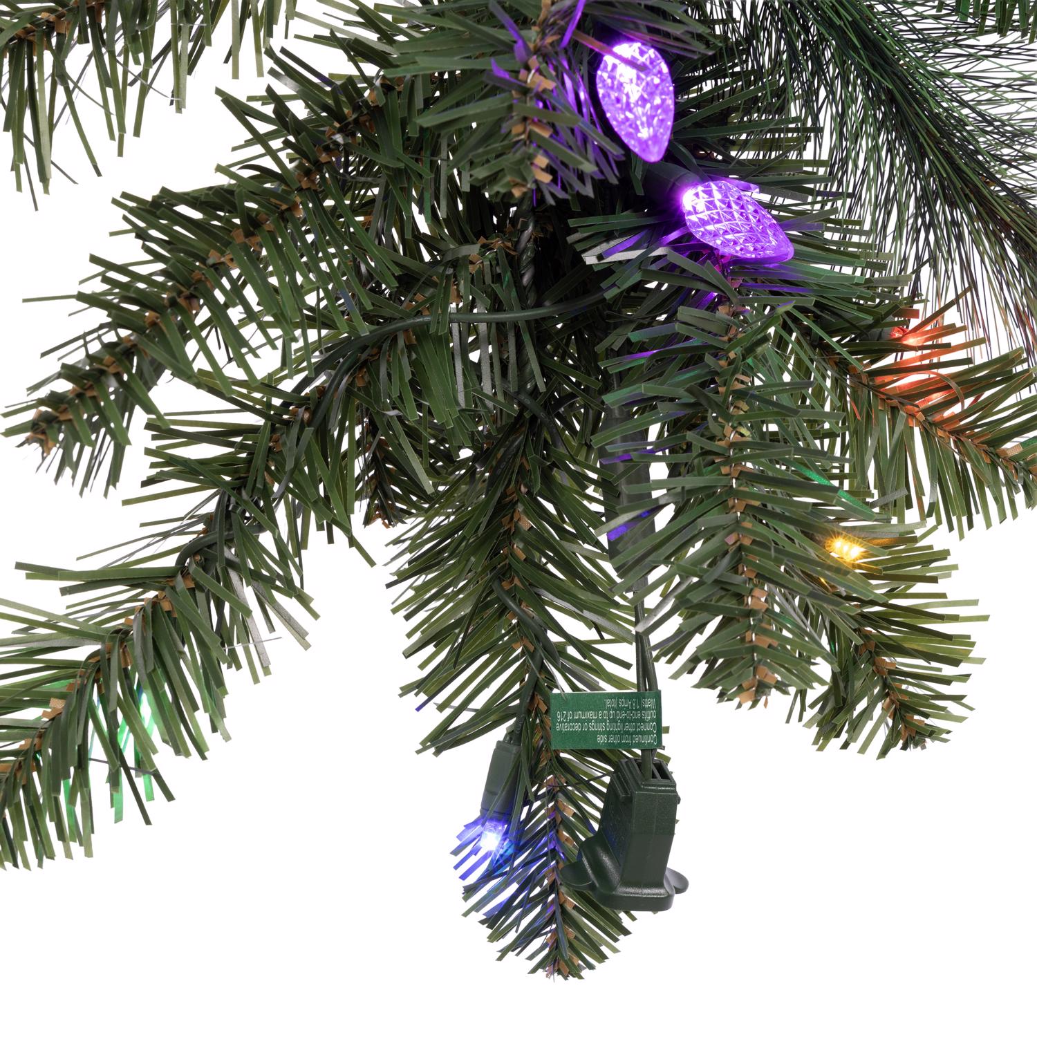 image-4