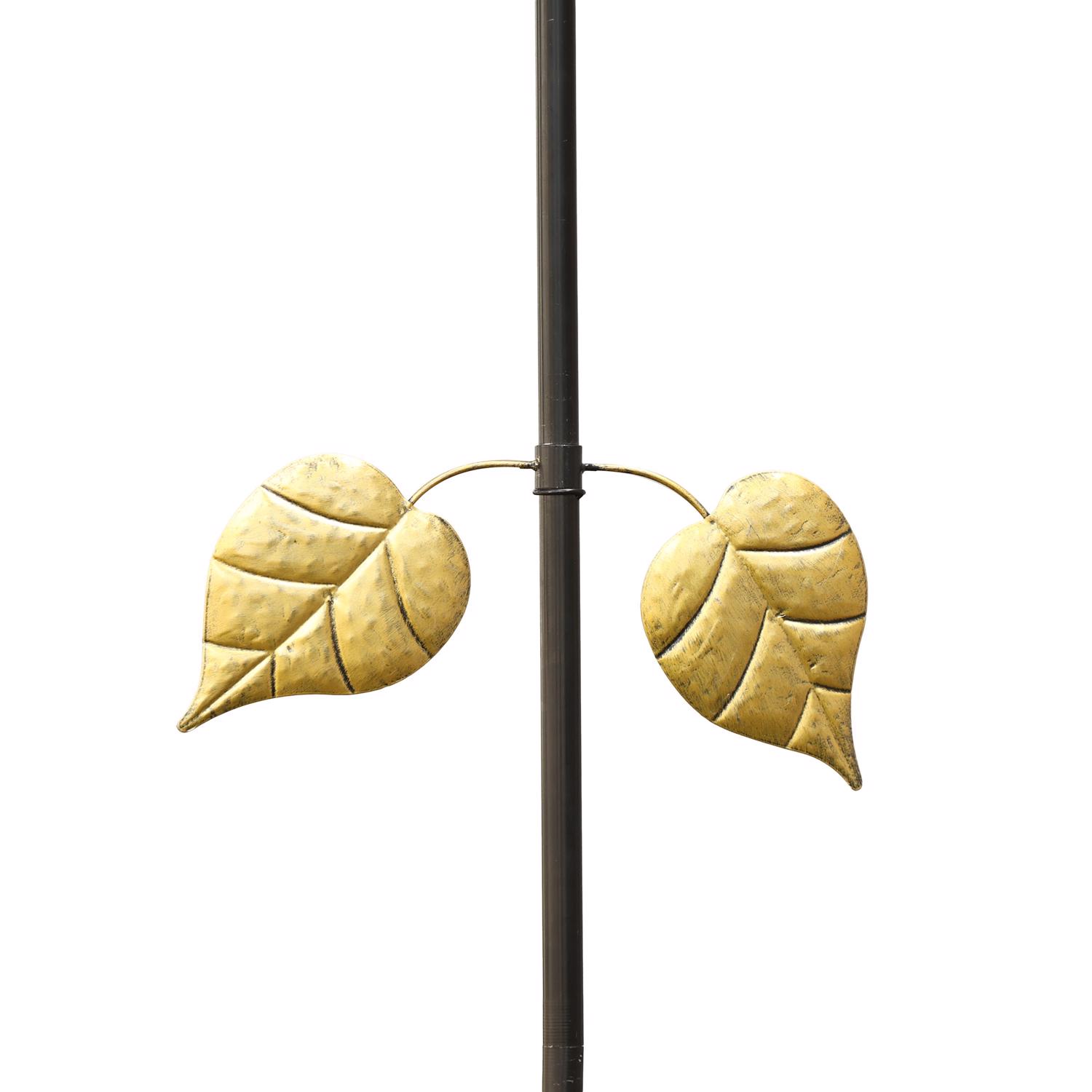 image-5
