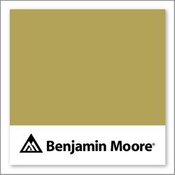 Benjamin Moore Turning Leaf 384