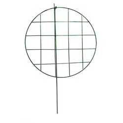 Glamos Wire 24 in. H Green Metal Plant Support