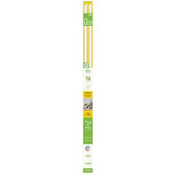 Feit Plug & Play T8 Warm White 47.8 in. G13 Linear LED Bulb 32 Watt Equivalence 2 pk