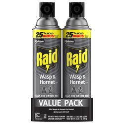 Raid Wasp and Hornet Killer Aerosol 17.5 oz