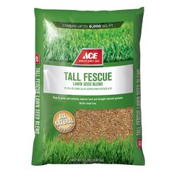 Ace Tall Fescue Grass Sun or Shade Grass Seed 20 lb