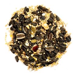 Nature's Nuts XtremeClean Wild Bird Food 18 lb