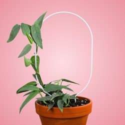 Mossify 17 in. H X 7.75 in. W X 7.75 in. D White Metal Planter Trellis