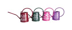 Panacea Assorted 3/4 gal Steel Watering Can