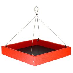 Songbird Essentials Plastic Hanging Bird Feeder