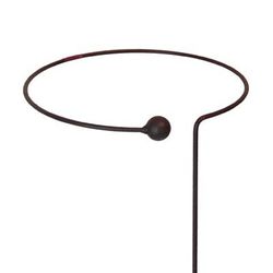 Panacea 20 in. H Brown Steel Plant Support