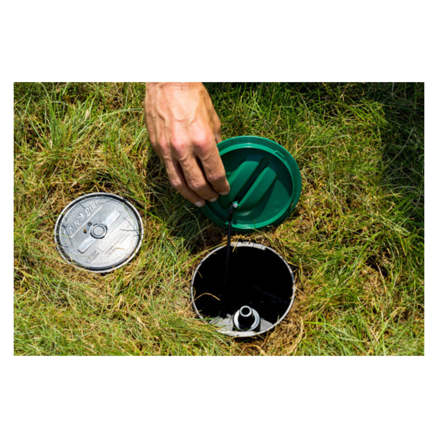 image-2