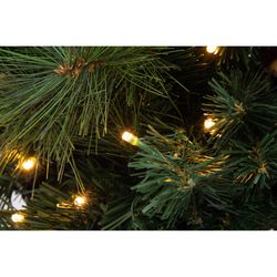 Celebrations 2 ft. Full LED 35 ct Decorative Color Changing Porch Bush