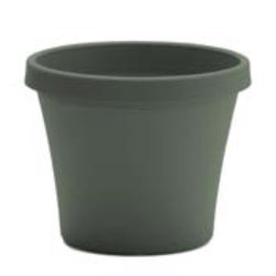 Bloem Terra 7.25 in. H X 8.75 in. W X 6 in. D Plastic Traditional Planter Basil