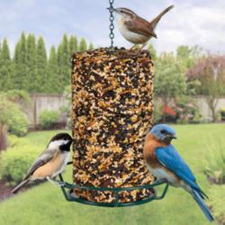 Kaytee Wild Bird Food 27.86 oz