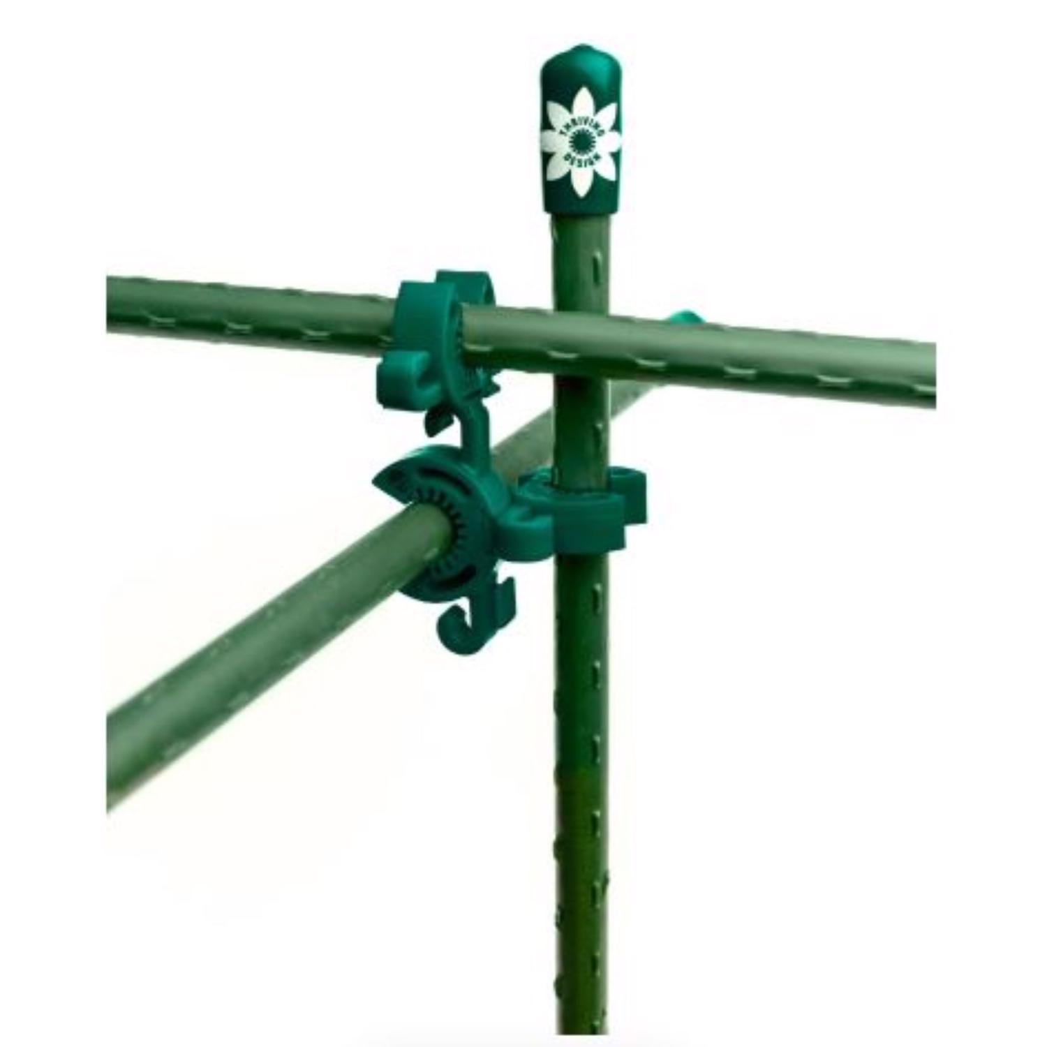 image-3