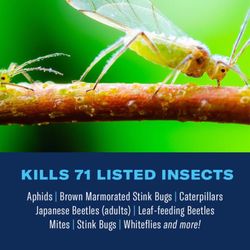 BioAdvanced Complete Brand Insect Killer for Soil & Turf Concentrate 40 oz