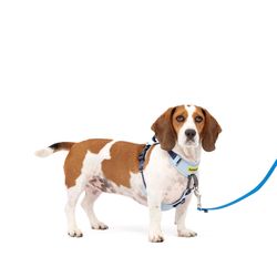 PetSafe Easy Walk Blue Fabric Dog Harness Small/Medium