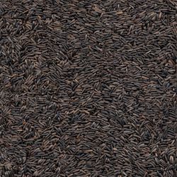 Kaytee Nyjer Wild Bird Food 8 lb