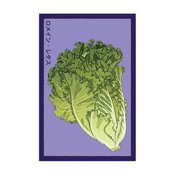 Chive Shido Seed Co. Romain Lettuce Seeds 1 pk