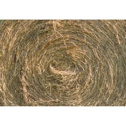 Retailer Sourced Coastal Bermuda Hay Bale