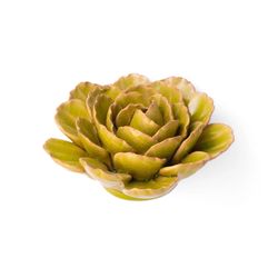 Chive France 2.36 in. H X 4.72 in. L Glazed Green Ceramic Peony Wall Flower