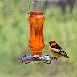 Perky-Pet Oriole 16 oz Glass Carnival Vintage Nectar Bird Feeder 4 ports