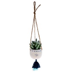 Karma 2 in. H X 2 in. L Multicolored Ceramic Hanging Succulent Pot