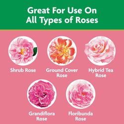 Miracle-Gro Powder Rose Plant Food 1.5 lb